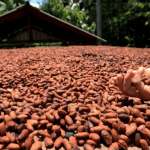 upscalemedia-transformed